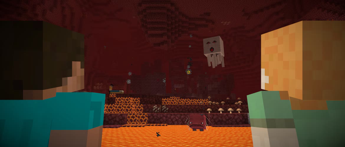 Minecraft Nether Wastes biome
